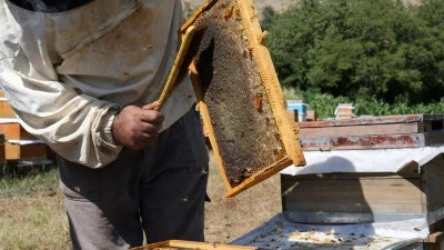 Bitlis balı coğrafi işaret tescilini aldı