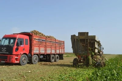 Çiftçilere destek ödemesi bugün yapılacak