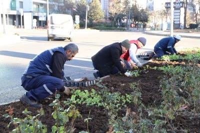 Diyarbakır’da 1 milyon çiçek toprakla buluşuyor