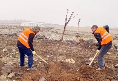 Diyarbakır’da yeşil alan seferberliği