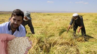 Sağlığınız İçin Karacadağ Pirinci Tüketin!