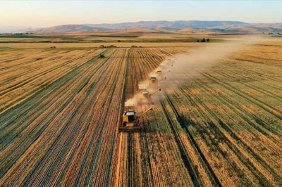 Tarımsal destekleme ödemesi çiftçilerin hesabına aktarılıyor