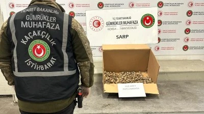 Türkiye'ye kaçırılmaya çalışılan 910 su kaplumbağası ele geçirildi