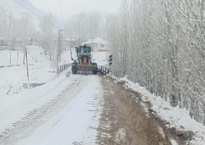 Van'da 264 yerleşim yerinin yolu kapandı