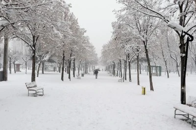 Yağışlı ve soğuk hava etkisini sürdürüyor