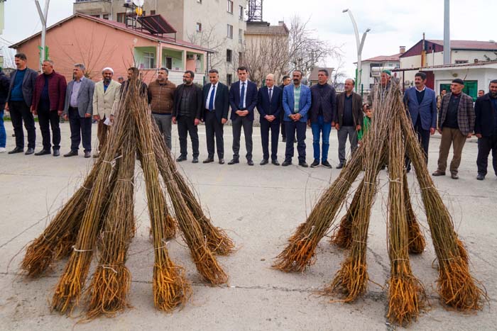 Kulp’ta, 10 Bin Adet Dut Fidanı Dağıtıldı