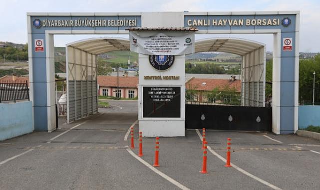 Diyarbakır Canlı Hayvan Borsası yeniden hizmete açılıyor