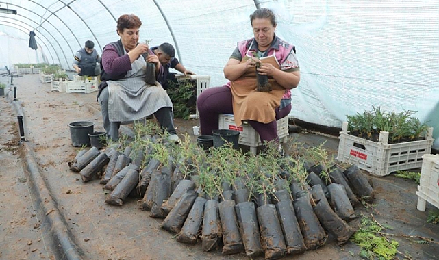 Diyarbakır’da Fidan Aşılama Eğitimi