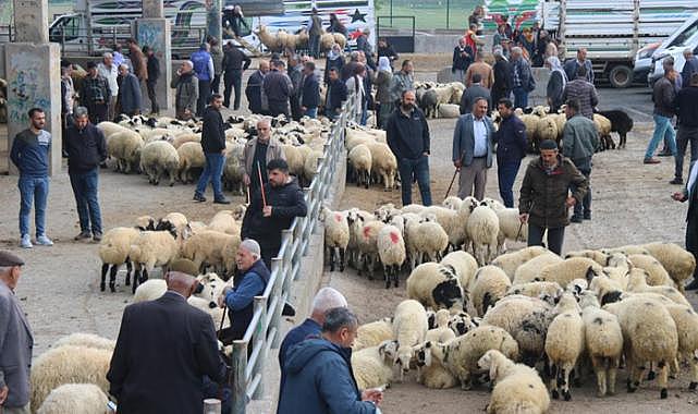 Diyarbakır'da hayvan borsasının açılmasıyla piyasada düşüş bekleniyor