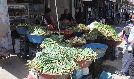 Binlerce aileye ekmek kapısı olan otlar tezgâhlara indi 