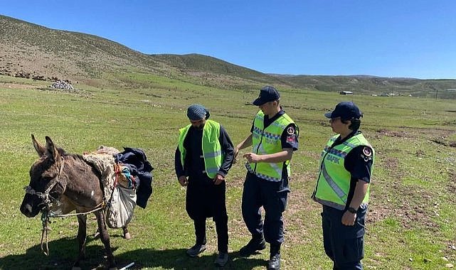 Çobanlara trafikte görünür olmaları için reflektif yelekler giydirildi 