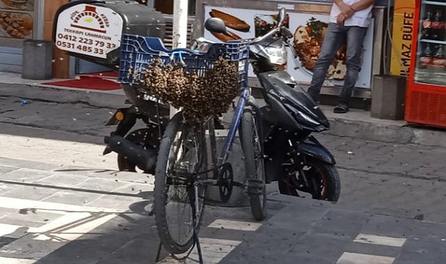 Diyarbakır'da arılar bisikleti sardı