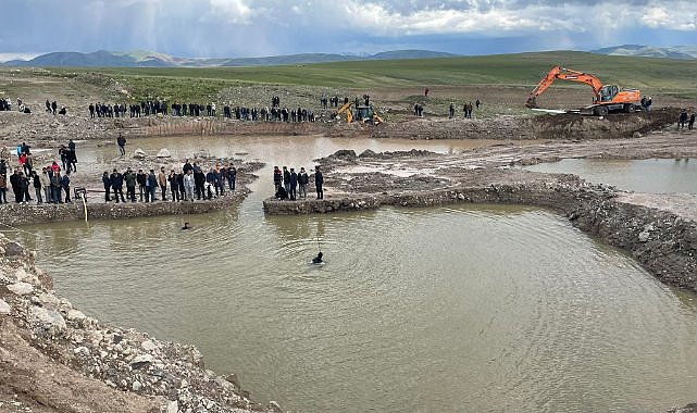 İneğini kurtarma çabası, canından etti