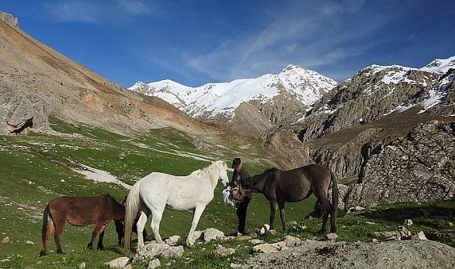 Yılkı atları Munzur Dağlarında görüntülendi  