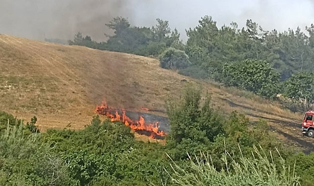 Adana’da anız yangını ağaçlara sıçradı  