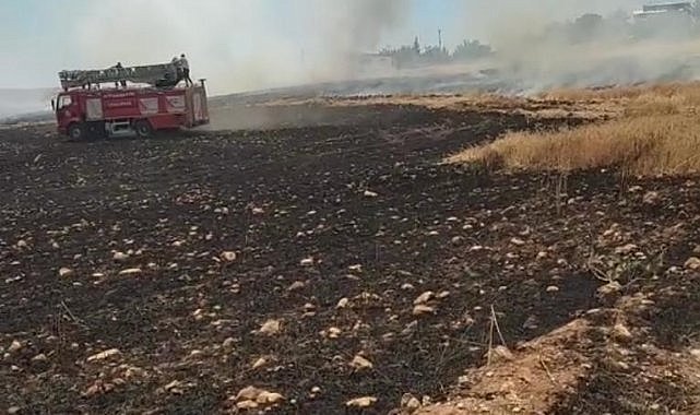 Diyarbakır’da buğday tarlası küle döndü  