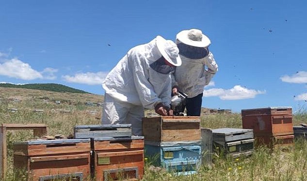 Kaliteli bal için bayramı kovanların başında geçiriyorlar