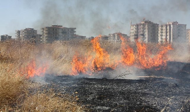 Diyarbakır’da anız yangınları milli servetin kaybıdır