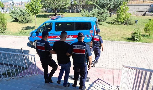 Diyarbakır'da hayvan hırsızları tutuklandı