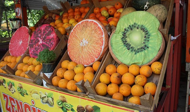 Diyarbakır’da yapaylıktan doğallığa!