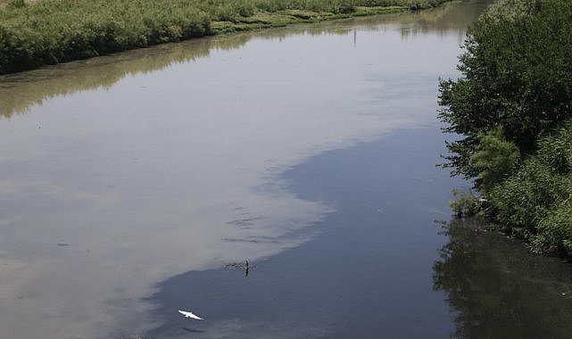 Diyarbakır Dicle Nehri’ne karışan su çevrecileri tedirgin ediyor