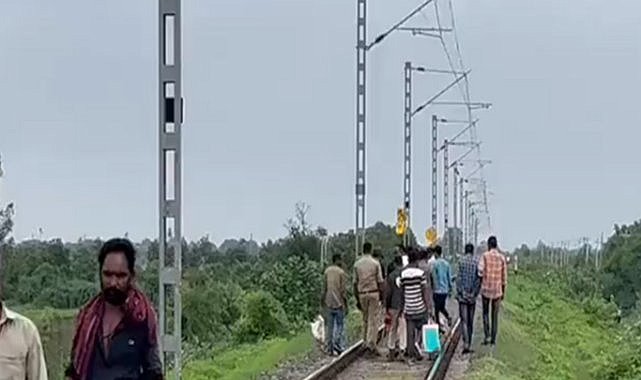 Hindistan'da tren aslanlara çarptı