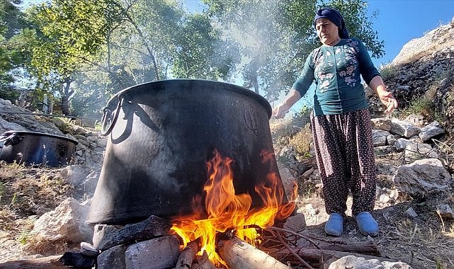 Köylüler dut hasadı ve pekmez yapımına başladı