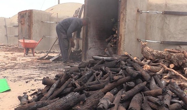 300 derecelik fırınlarda mangal kömürü üretimi