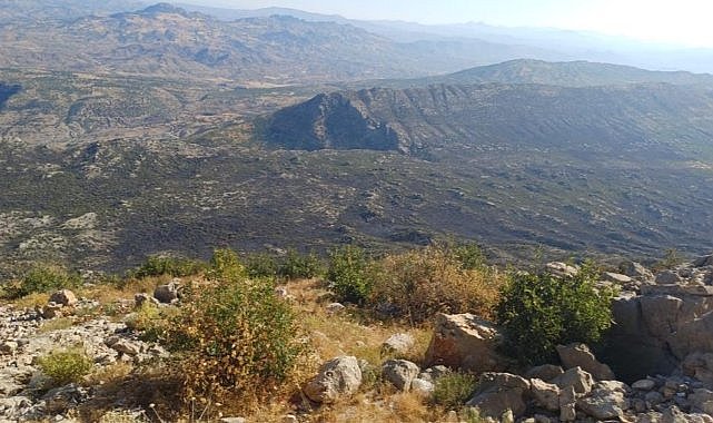 Diyarbakır'da çıkan yangın söndürüldü!