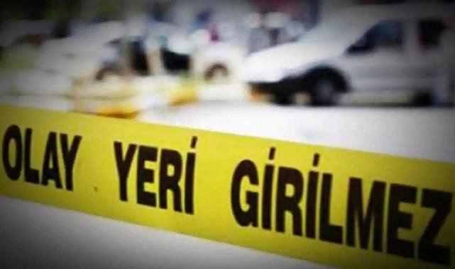 Köpekler tarafından parçalanmış bebek cesedi bulundu