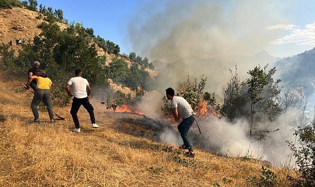 Orman yangını korkuttu