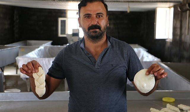 Diyarbakır’dan birçok ile mandıra peyniri