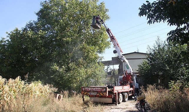 Ağaçlardaki cevizleri vinçle topluyorlar  