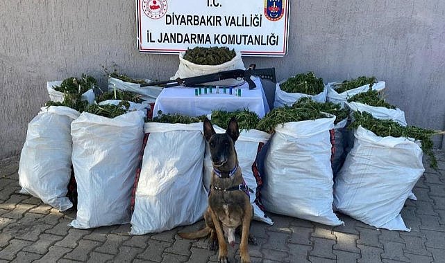 Diyarbakır’da 177 kilo esrar ele geçirildi