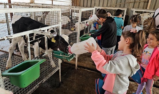 Diyarbakır’da öğrenciler hayvan bakımevini gezdi  