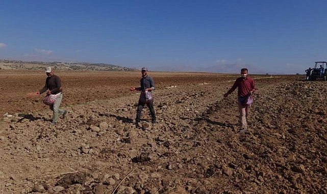 Diyarbakırlı çiftçiler tohumu toprakla buluşturdu 