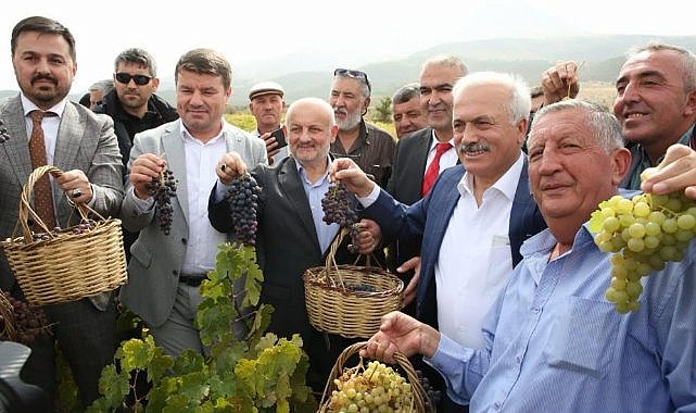 Geleneksel Bağ Bozumu ve Pekmez Festivali  