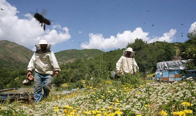 Organik arıcılık yapanlara destek