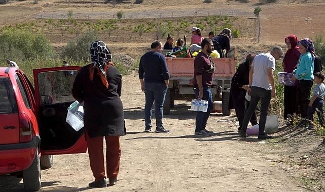 Tarlasındaki mahsulleri bedavadan dağıttı