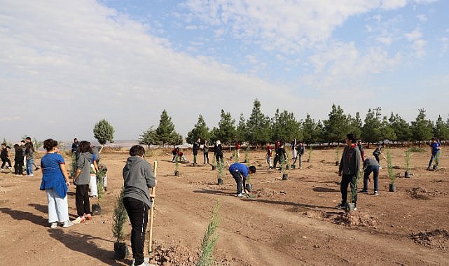 Diyarbakır’da öğrenciler fidan dikti