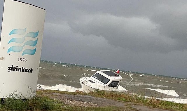 Fırtına tekneleri batırdı, ağaçları devirdi  