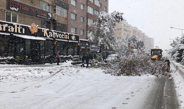 Kar Erzurum’u esir aldı