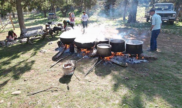 Toros Dağı’ndan şifa: Andız pekmezi  