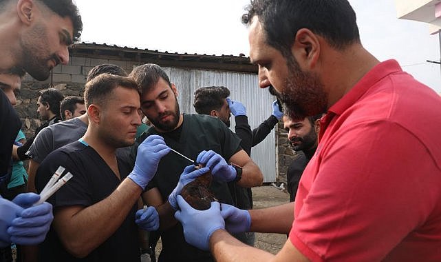 Veteriner hekim adaylarından saha çalışmaları