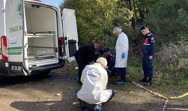 Yanmış erkek cesedi bulundu  