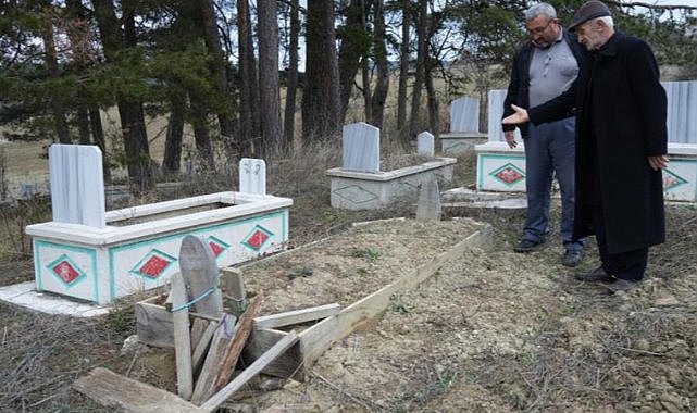 Ayılar, mezarları kazmaya başladı