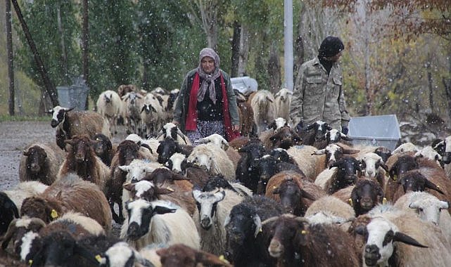 Kadın girişimcinin başarısı