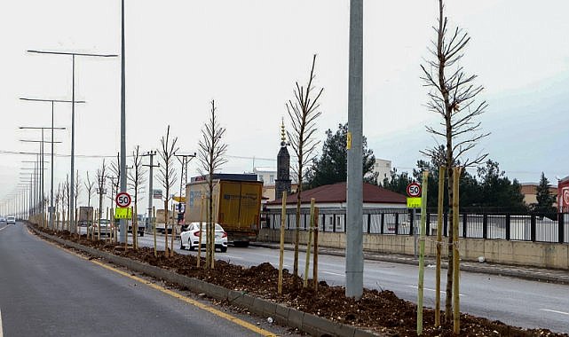 Diyarbakır’da caddeler yeşilleniyor