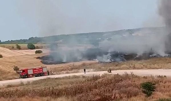 Buğday tarlası alevlere teslim oldu