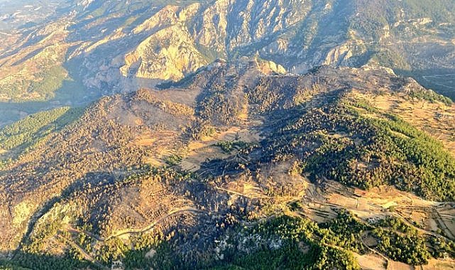 Muğla'daki orman yangını kontrol altına alındı